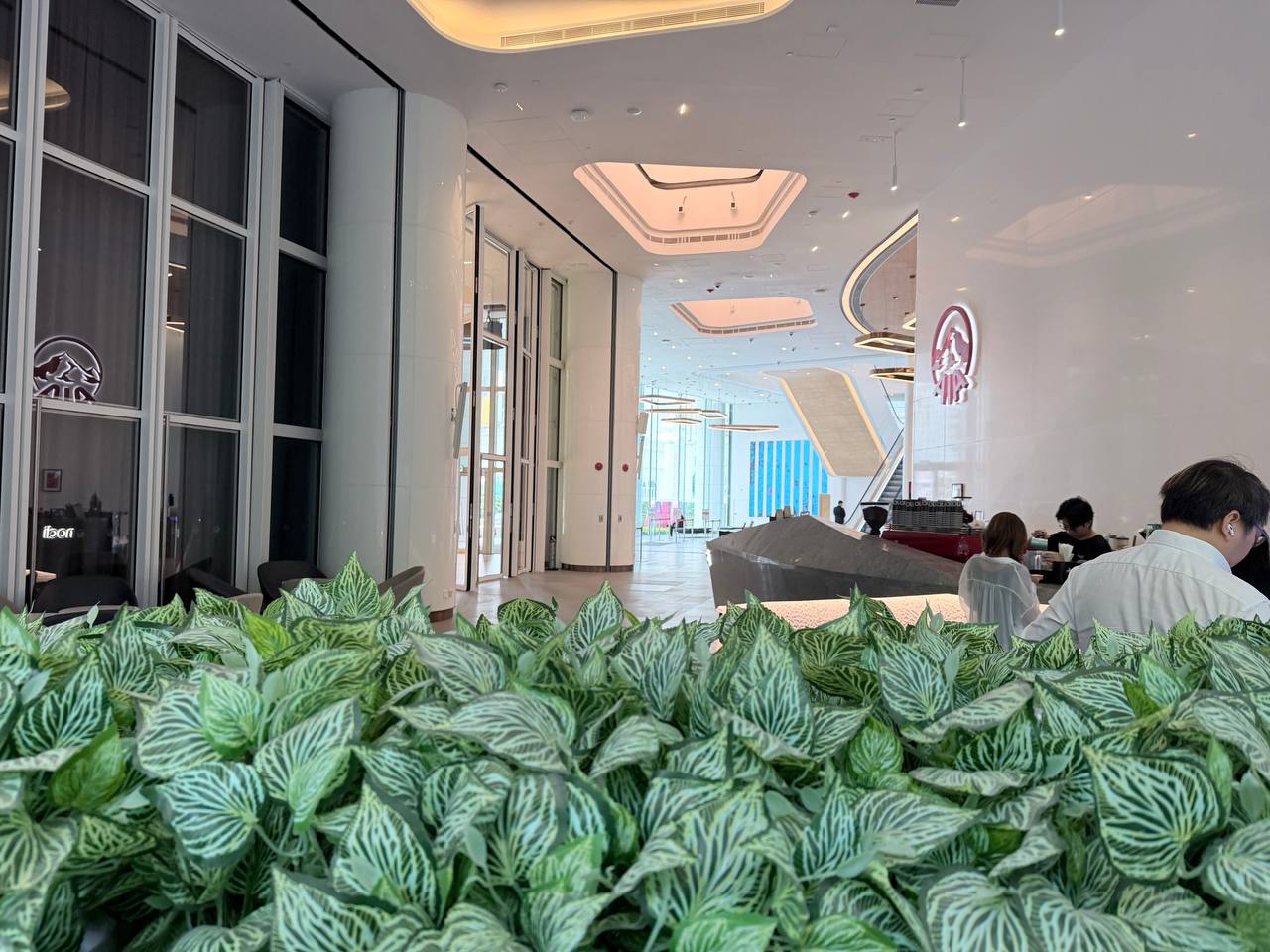 Nodi cafe interior